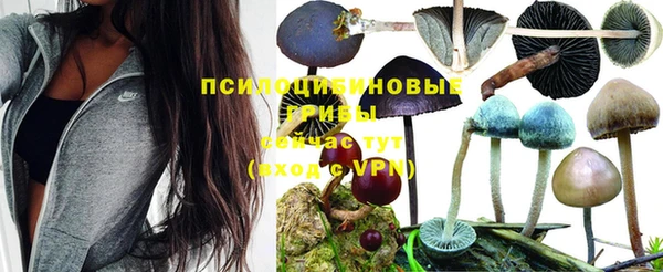 героин Арсеньев
