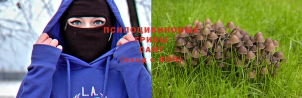 каннабис Осинники